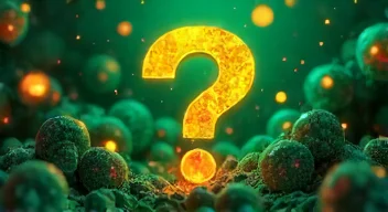 Die 5 meistgestellten Fragen (FAQ) zu nachhaltigen Finanzierungen