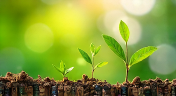 Die besten 8 Tipps bei der Umsetzung von Klimazielen