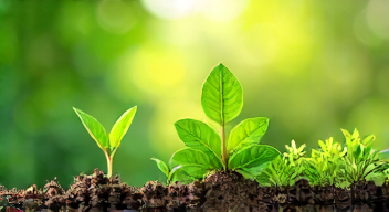 Die besten 8 Tipps bei nachhaltigen Projekten