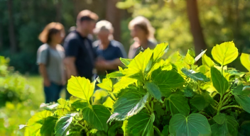 Soziale Auswirkungen nachhaltiger Projekte (6/10)